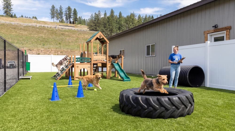 Daycare