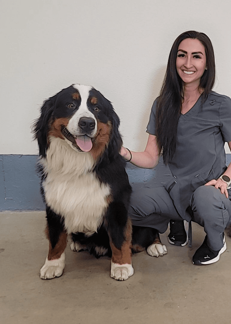 Paws N Brews owner with dog