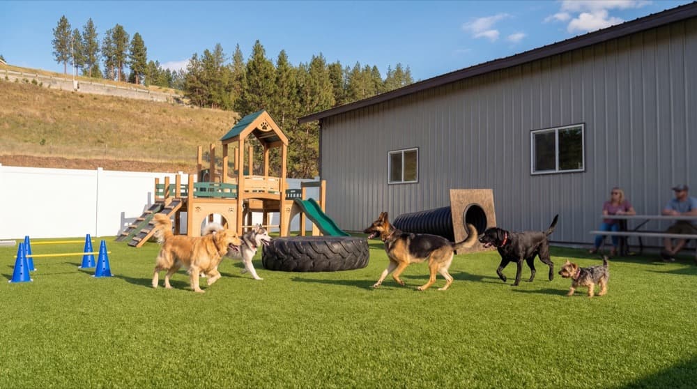 Dog Park Pass